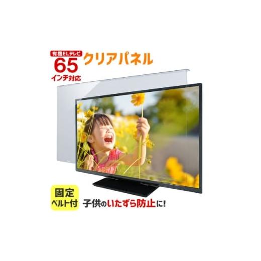 ふるさと納税 雑貨・日用品 大阪府 和泉市 大阪府和泉市 有機ELテレビ65インチ用 テレビ画面保護パネル クリアタイプ テレビガード 1669371