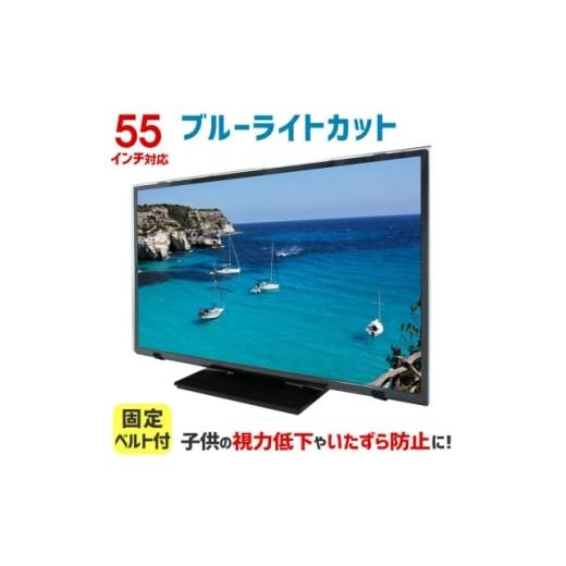 ふるさと納税 雑貨・日用品 大阪府 和泉市 55MBL5 55インチ用 テレビ画面保護パネル ブルーライトカットタイプ 位置調整用スペーサー付 1669384