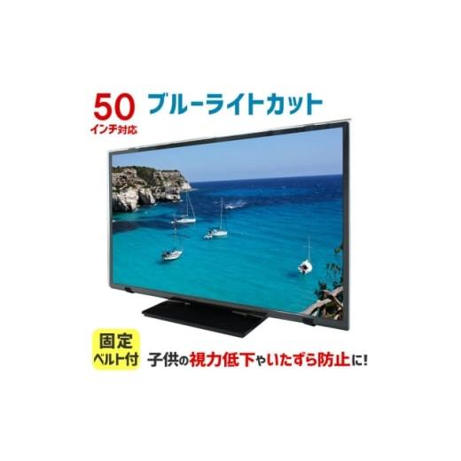 ふるさと納税 雑貨・日用品 大阪府 和泉市 50MBL5 50インチ用 テレビ画面保護パネル ブルーライトカットタイプ 位置調整用スペーサー付 1669386