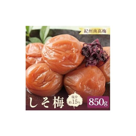 ふるさと納税 加工品等 梅干 和歌山県 印南町 いなみの里梅園 紀州南高梅 しそ梅850g 塩分約15% 和歌山産 印南町