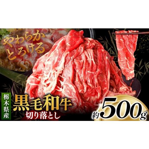 ふるさと納税 牛肉 すき焼き 栃木県 矢板市 栃木県産黒毛和牛切り落とし 500g|数量限定 黒毛 和牛 牛肉 国産牛 国産 ブランド牛 お肉 切り落とし サシ 霜降り…