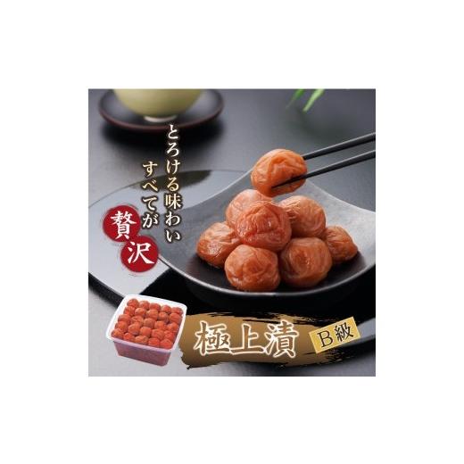 ふるさと納税 加工品等 梅干 和歌山県 印南町 紀州南高梅 徳用 紀州極上漬 1.5kg×1箱 [Kn6]