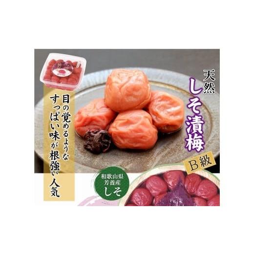ふるさと納税 加工品等 梅干 和歌山県 印南町 紀州南高梅 徳用 しそ漬梅 1.5kg×1箱 [Kn9]