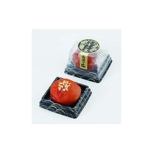 ふるさと納税 加工品等 梅干 和歌山県 印南町 極選の梅 天帝の舞 1箱10粒入り [Kn11]