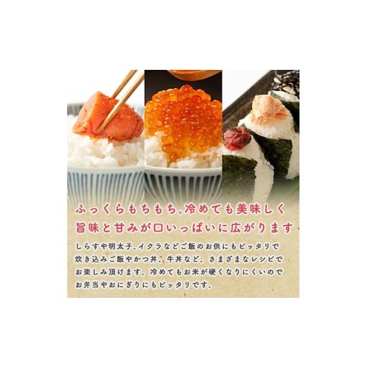 ふるさと納税 米 あきたこまち 秋田県 横手市 《定期便7ヶ月》あきたこまち 3kg×1袋 5分づき 令和7年産 秋田県産 こまちライン こまちライン あきたこまち ブ…の画像