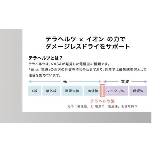 ふるさと納税 美容・健康家電 長野県 岡谷市 INGRACE Velena hair dryer ブラック｜ へアドライヤー 美容 ポーチ付き 充電式 持ち運び コンパクト 軽い スタイ…_6