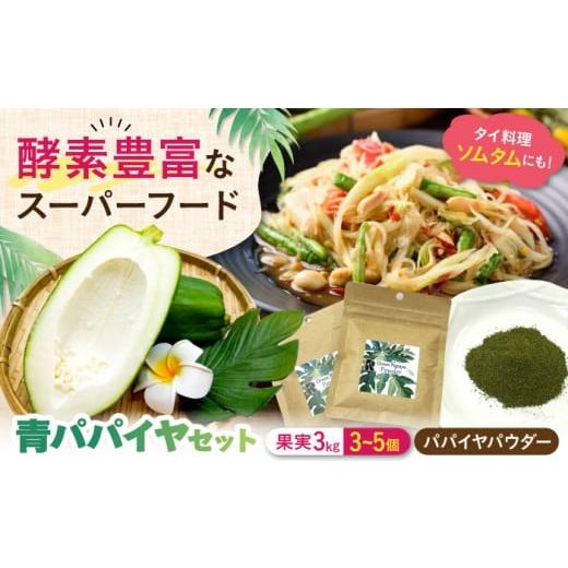ふるさと納税 野菜類 滋賀県 長浜市 酵素たっぷり 青パパイヤ果実とパウダーセット 滋賀県長浜市/株式会社ロハス長浜