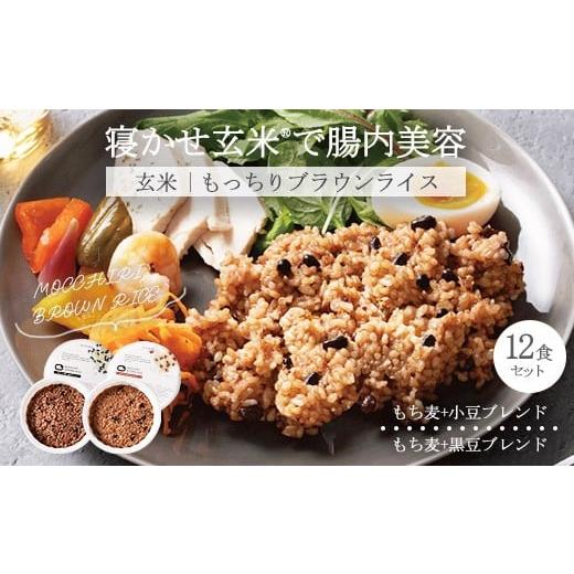 ふるさと納税 玄米 栃木県 宇都宮市 もっちりブラウンライス(寝かせ玄米 ) 12食ミックスセット