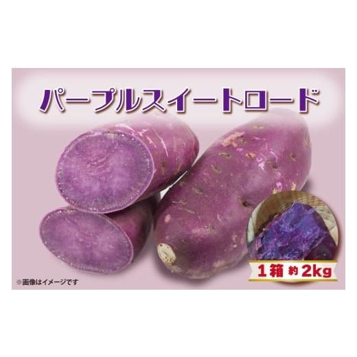 ふるさと納税 野菜類 サツマイモ 茨城県 行方市 2025年11月より順次発送 2025年度産 パープルスイートロード 約2kg|さつまいも 芋 お芋 パープルスイートロ…