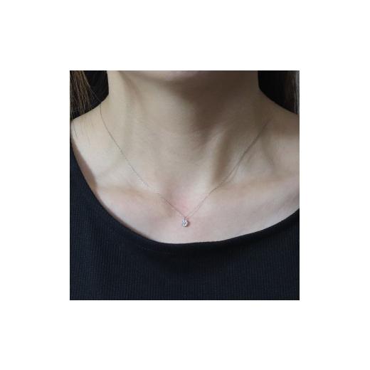 ふるさと納税 アクセサリー ネックレス 山梨県 甲斐市 プラチナ 0.10ct フラワーダイヤモンドネックレス　BQ-195の画像