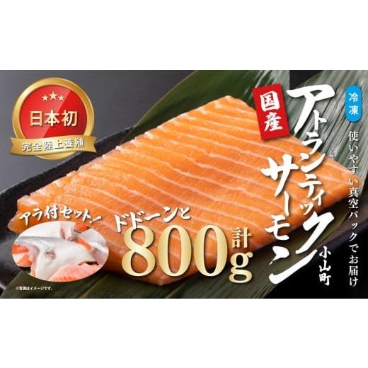 ふるさと納税 魚貝類 サーモン 静岡県 小山町 日本初 完全陸上養殖 小山町産 アトランティックサーモン 冷凍 800g +アラ付きセット | サーモン アトランティ…