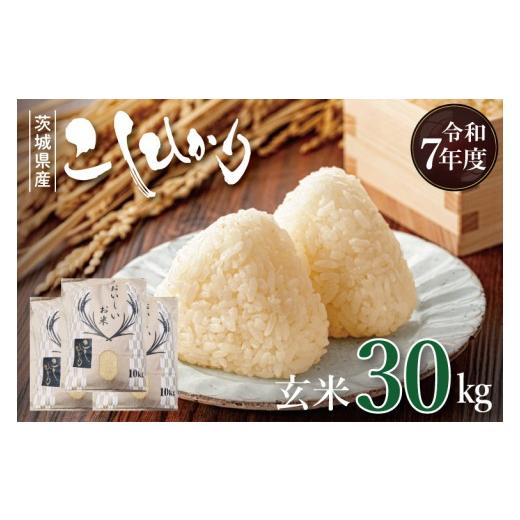 ふるさと納税 米 コシヒカリ 茨城県 取手市 数量限定 R7年産 玄米30kg 
