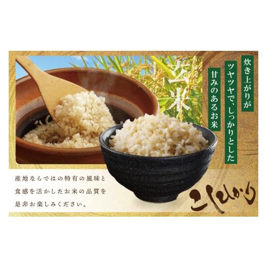 ふるさと納税 米 コシヒカリ 茨城県 取手市 数量限定 R7年産 玄米30kg 