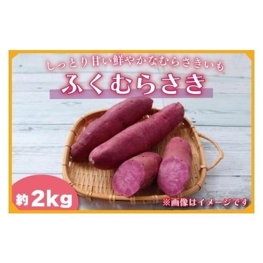 ふるさと納税 野菜類 サツマイモ 茨城県 行方市 2025年11月より順次発送 2025年度産 しっとり甘い鮮やかな紫いも ふくむらさき 約2kg|さつまいも 芋 お芋 ふ…
