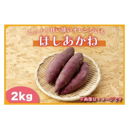 ふるさと納税 野菜類 サツマイモ 茨城県 行方市 2025年11月より順次発送 2025年度産 しっとり甘い淡いオレンジいも ほしあかね 約2kg|さつまいも 芋 お芋 ほ…