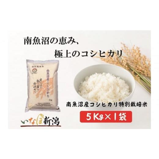 ふるさと納税 米 コシヒカリ 新潟県 南魚沼市 令和7年産 南魚沼産コシヒカリ特別栽培米 白米 5kg