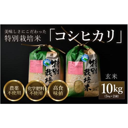 ふるさと納税 玄米 福井県 あわら市 令和6年産 コシヒカリ 玄米 5kg×2袋(計10kg) 特別栽培米 農薬不使用 化学肥料不使用 / 残留農薬ゼロ 高品質 福井県産…