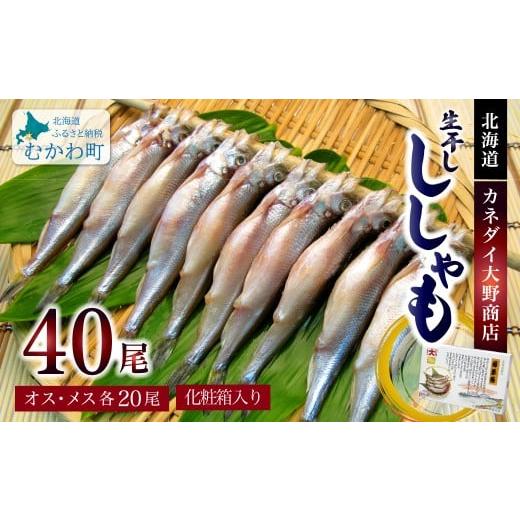 ふるさと納税 魚貝類 ししゃも 北海道 むかわ町 北海道産生干ししゃもセット(メス・オス各20尾) ふるさと納税 人気 おすすめ ランキング ししゃも シシャモ …