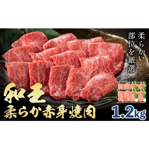ふるさと納税 牛肉 焼肉・バーベキュー 熊本県 菊池市 熊本県産A5等級和王 柔らか赤身焼肉 1.2kg 帝神志方ミート株式会社[90日以内に出荷予定(土日祝除く)]…