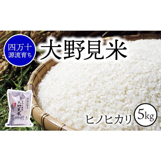ふるさと納税 米 ヒノヒカリ 高知県 中土佐町 [ 新米予約 ] 四万十源流育ち 特別栽培 大野見米 ヒノヒカリ 5kg ( 玄米 ) ご飯 米 お米 ヒノヒカリ 四万十