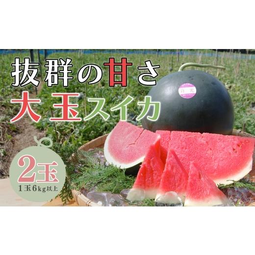 ふるさと納税 スイカ 高知県 大月町 抜群の甘さ スイカ 2玉 大玉 (6kg以上) 甘い 高糖度 西瓜 すいか 種なし 縞スイカ 黒玉 ギフト お中元 御中元 産地直送 旬…