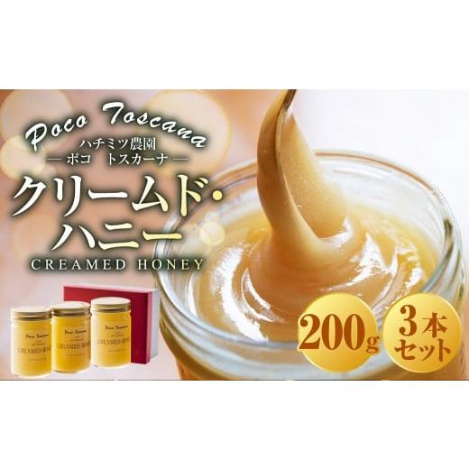 ふるさと納税 加工品等 はちみつ 長崎県 長崎市 クリームド・ハニー 200g瓶×3本セット (計600g) 蜂蜜 はちみつ ハチミツ 非加熱ハチミツ セット 九州 長崎…