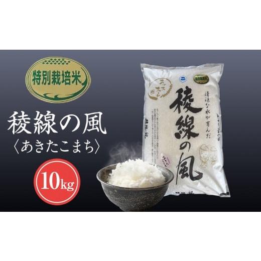 ふるさと納税 米 長野県 大町市 信濃大町産 特別栽培米 稜線の風(あきたこまち) 10kg