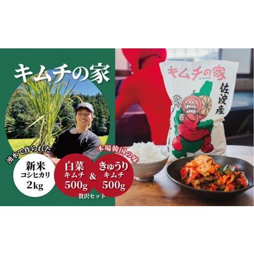 ふるさと納税 加工品等 キムチ 新潟県 佐渡市 キムチの家 白菜キムチ500g きゅうりキムチ500g食べ比べと佐渡産新米コシヒカリ2kgセット