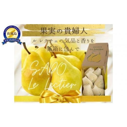 ふるさと納税 梨 新潟県 佐渡市 家庭用・贈答用 佐渡ル レクチェ(約2kg/4〜8玉入り・茶箱入り)