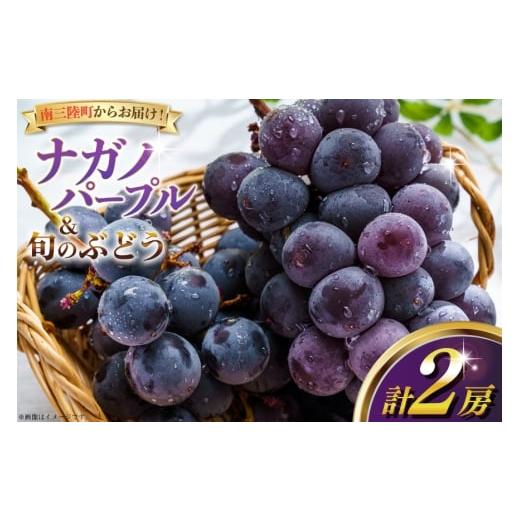ふるさと納税 ぶどう 宮城県 南三陸町 期間限定発送 2026年発送 ナガノパープル 旬のぶどう 詰め合わせ 各1房 計2房 みなと果実園 宮城県 南三陸町 m304bdy88…