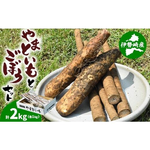 ふるさと納税 菓子 詰合せ 群馬県 伊勢崎市 伊勢崎市産泥付きやまといも・ごぼう詰め合わせセット 北海道・沖縄・離島への配送不可