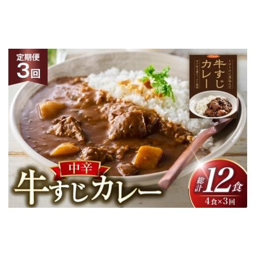 ふるさと納税 加工品等 レトルト 長崎県 平戸市 カレー セット 牛 すじ カレー 4食 セット 中辛 3回 定期便 カレー工房NVfoods 長崎県 平戸市 hr42bgy400036 …