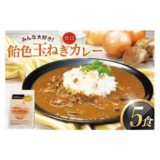 ふるさと納税 加工品等 レトルト 長崎県 平戸市 カレー セット 玉ねぎ カレー 5食 セット 甘口 カレー工房NVfoods 長崎県 平戸市 hr42bgy400061 カレー スパイ…