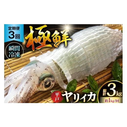 ふるさと納税 イカ 長崎県 平戸市 イカ 刺身 極鮮ヤリイカ 約1kg 3回 定期便 海隆丸 長崎県 平戸市 hr42bgy400129 おつまみ ヤリイカ 新鮮 海鮮 魚介 瞬間冷凍…