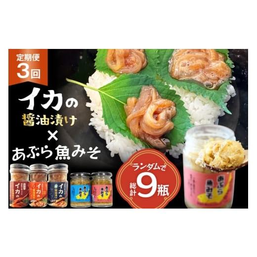 ふるさと納税 缶詰・瓶詰 魚貝類 長崎県 平戸市 ご飯のお供 あぶらみそ イカ 醤油漬け 3本 ランダムでお届け 3回 定期便 総計9本 康貴丸水産 長崎県 平戸市 hr…