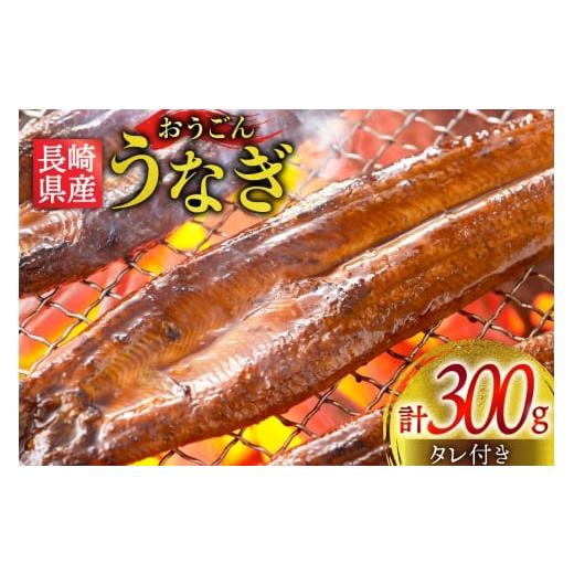 ふるさと納税 うなぎ 長崎県 平戸市 うなぎ 国産 蒲焼 長崎県産 おうごんうなぎ 約300g 2尾~3尾 松永水産 長崎県 平戸市 hr42bgy400022 鰻 うな重 うな丼 ひつ…