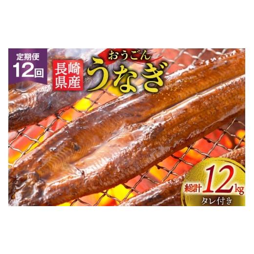 ふるさと納税 うなぎ 長崎県 平戸市 うなぎ 国産 蒲焼 長崎県産 おうごんうなぎ 松セット 約1kg 6尾~8尾 12回 定期便 総計 約12kg 松永水産 長崎県 平戸市 hr4…
