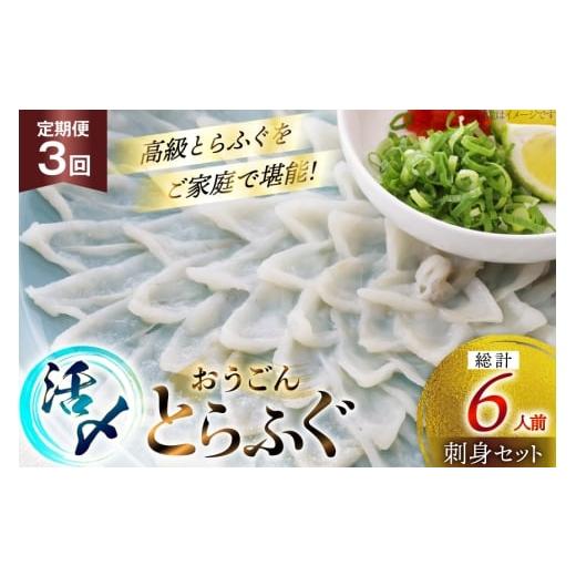 ふるさと納税 フグ 長崎県 平戸市 ふぐ 刺身 セット 活〆 おうごんとらふぐ 刺身セット 2人前 3回 定期便 松永水産 長崎県 平戸市 hr42bgy400070 ふぐ刺し と…