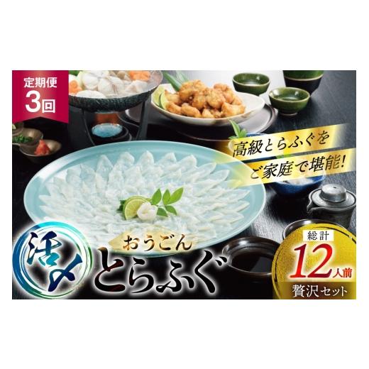 ふるさと納税 フグ 長崎県 平戸市 ふぐ 刺身 ふぐ鍋セット 活〆 おうごんとらふぐ 贅沢セット 4人前 3回 定期便 松永水産 長崎県 平戸市 hr42bvj550013 ふぐ刺…_1