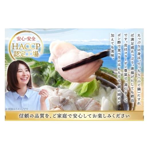 ふるさと納税 フグ 長崎県 平戸市 ふぐ 刺身 ふぐ鍋セット 活〆 おうごんとらふぐ 贅沢セット 4人前 3回 定期便 松永水産 長崎県 平戸市 hr42bgy400074 ふぐ刺…_3
