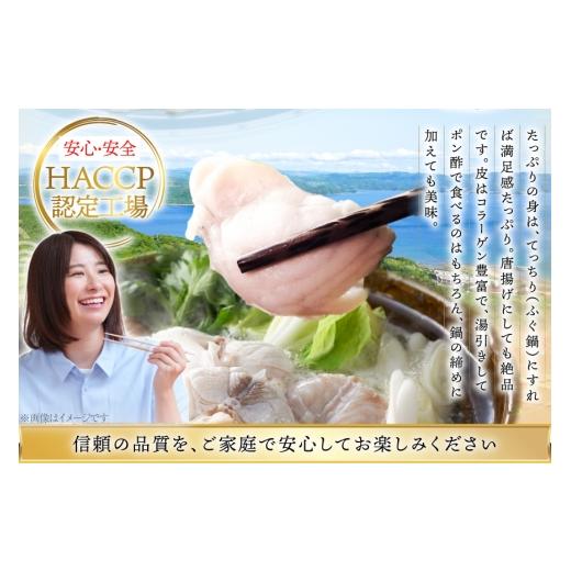 ふるさと納税 フグ 長崎県 平戸市 ふぐ 刺身 ふぐ鍋セット 活〆 おうごんとらふぐ 贅沢セット 4人前 3回 定期便 松永水産 長崎県 平戸市 hr42bvj550013 ふぐ刺…_3