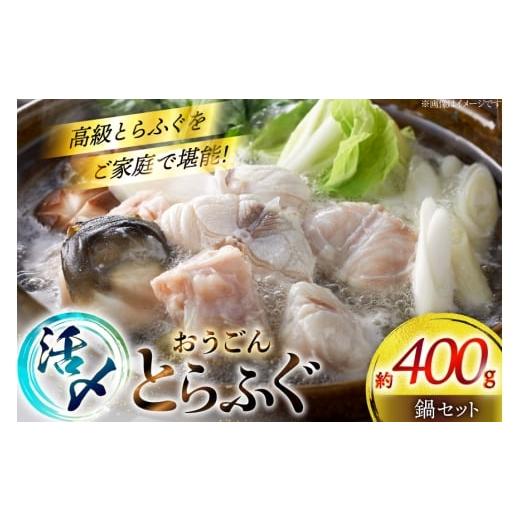 ふるさと納税 海鮮鍋 長崎県 平戸市 ふぐ 鍋 セット 活〆 おうごんとらふぐ 鍋セット 約400g 松永水産 長崎県 平戸市 hr42bgy400155 とらふぐ フグ 河豚 てっ…