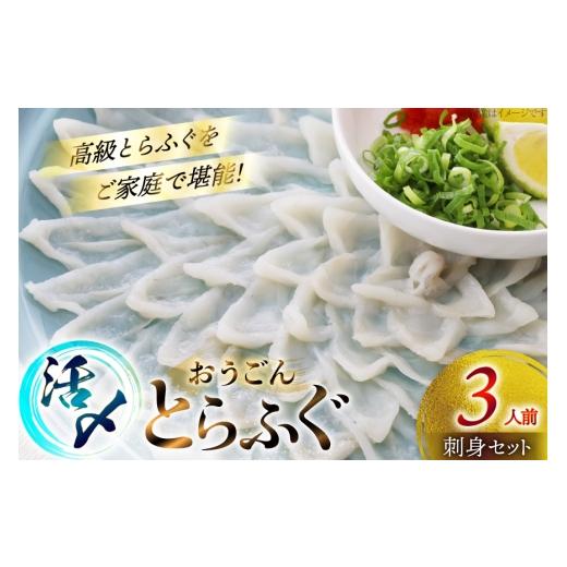 ふるさと納税 フグ 長崎県 平戸市 ふぐ 刺身 セット 活〆 おうごんとらふぐ 刺身セット 3人前 松永水産 長崎県 平戸市 hr42bvj550039 ふぐ刺し とらふぐ フグ …_1
