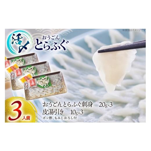 ふるさと納税 フグ 長崎県 平戸市 ふぐ 刺身 セット 活〆 おうごんとらふぐ 刺身セット 3人前 松永水産 長崎県 平戸市 hr42bvj550039 ふぐ刺し とらふぐ フグ …_4