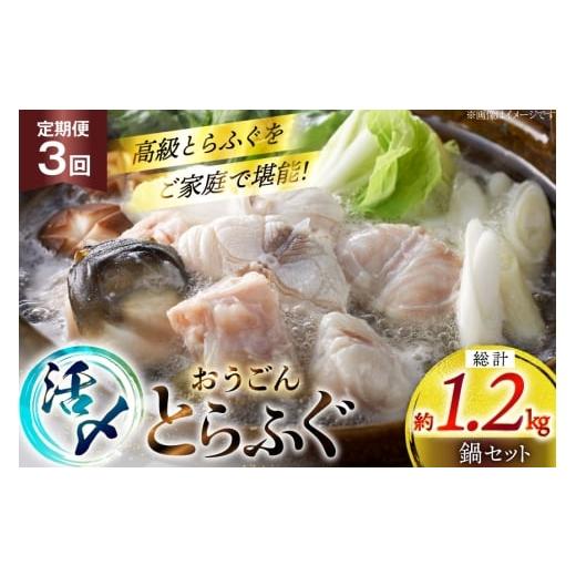 ふるさと納税 フグ 長崎県 平戸市 ふぐ 鍋 セット 活〆 おうごんとらふぐ 鍋セット 約400g 3回 定期便 総計 約1.2kg 松永水産 長崎県 平戸市 hr42bgy400158 と…