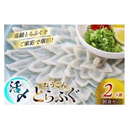 ふるさと納税 フグ 長崎県 平戸市 ふぐ 刺身 セット 活〆 おうごんとらふぐ 刺身セット 2人前 松永水産 長崎県 平戸市 hr42bgy400175 ふぐ刺し とらふぐ フグ …