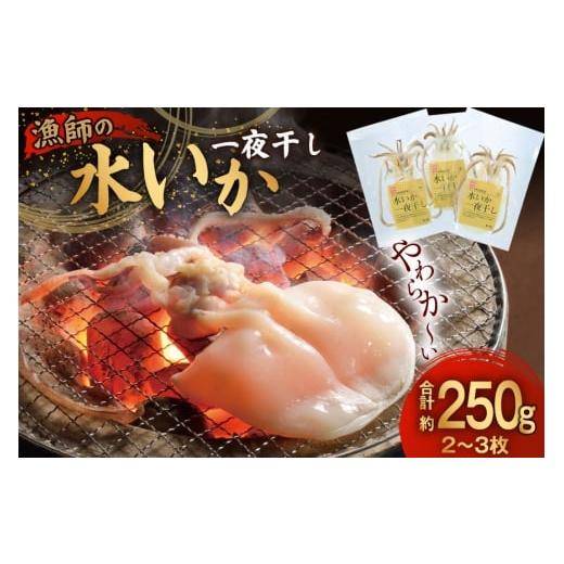ふるさと納税 干物 イカ 長崎県 平戸市 いか 一夜干し 干物 漁師の水烏賊一夜干し 2〜3枚 約250g 中野漁業 長崎県 平戸市 hr42bgy400067 イカ 乾物 水いか 冷…
