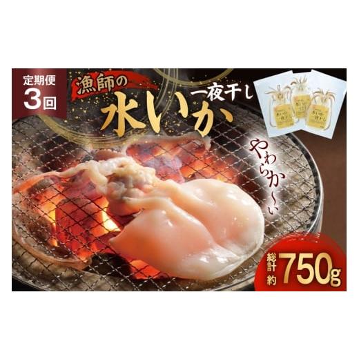 ふるさと納税 干物 イカ 長崎県 平戸市 いか 一夜干し 干物 漁師の水烏賊一夜干し 2〜3枚 約250g 3回 定期便 総計750g 中野漁業 長崎県 平戸市 hr42bgy400077 …