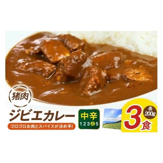 ふるさと納税 加工品等 レトルト 長崎県 平戸市 カレー スパイス 平戸 イノシシ カレー 3食 セット 平戸ファクトリー 長崎県 平戸市 hr42bgy400062 カレーライ…
