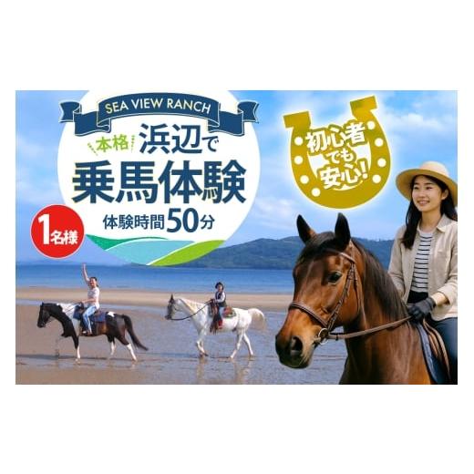 ふるさと納税 体験チケット 長崎県 平戸市 体験 乗馬 平戸の浜辺で本格乗馬体験 50分 (株)シービューランチ 長崎県 平戸市 hr42bgy390076 馬 体験型 旅行 旅 …